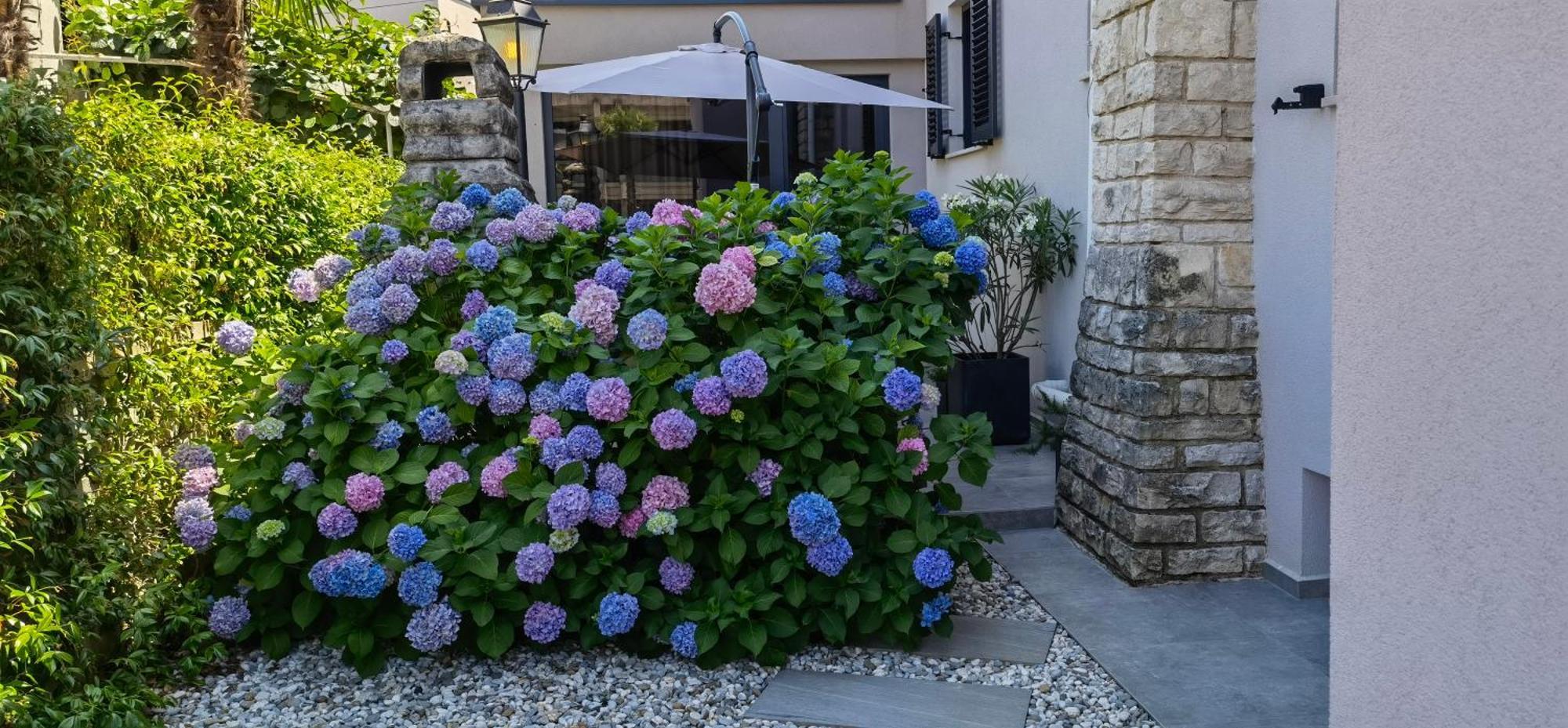 Stay In The Very Heart Of Porec - 50M To The Beach Exteriör bild