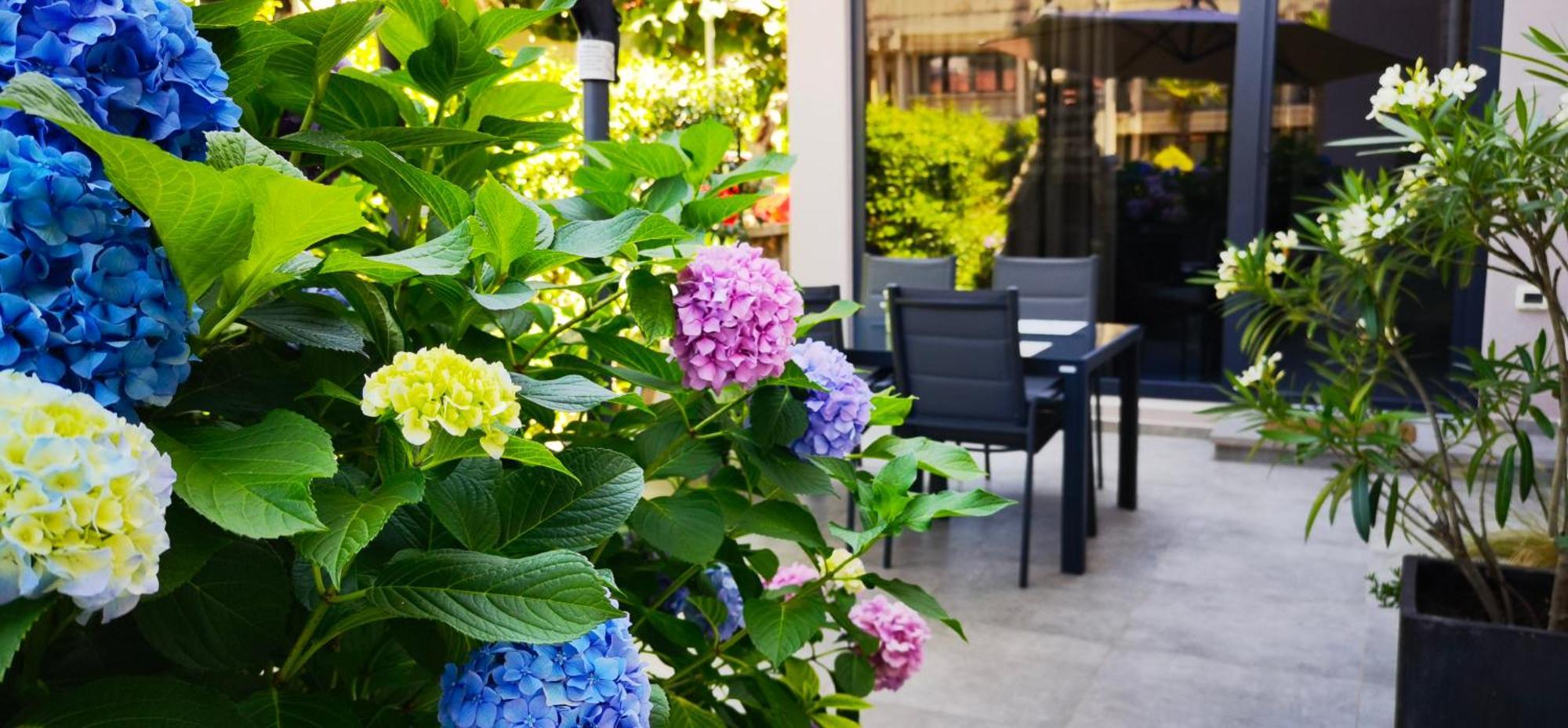 Stay In The Very Heart Of Porec - 50M To The Beach Exteriör bild